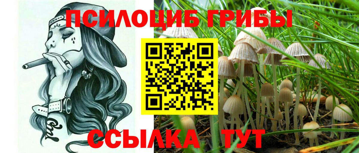Луга  Галлюциногенные грибы ЛСД  Вход с VPN 