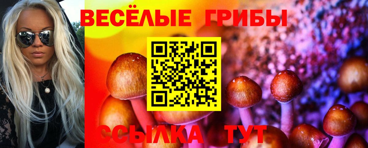 Галлюциногенные грибы прущие грибы Луга